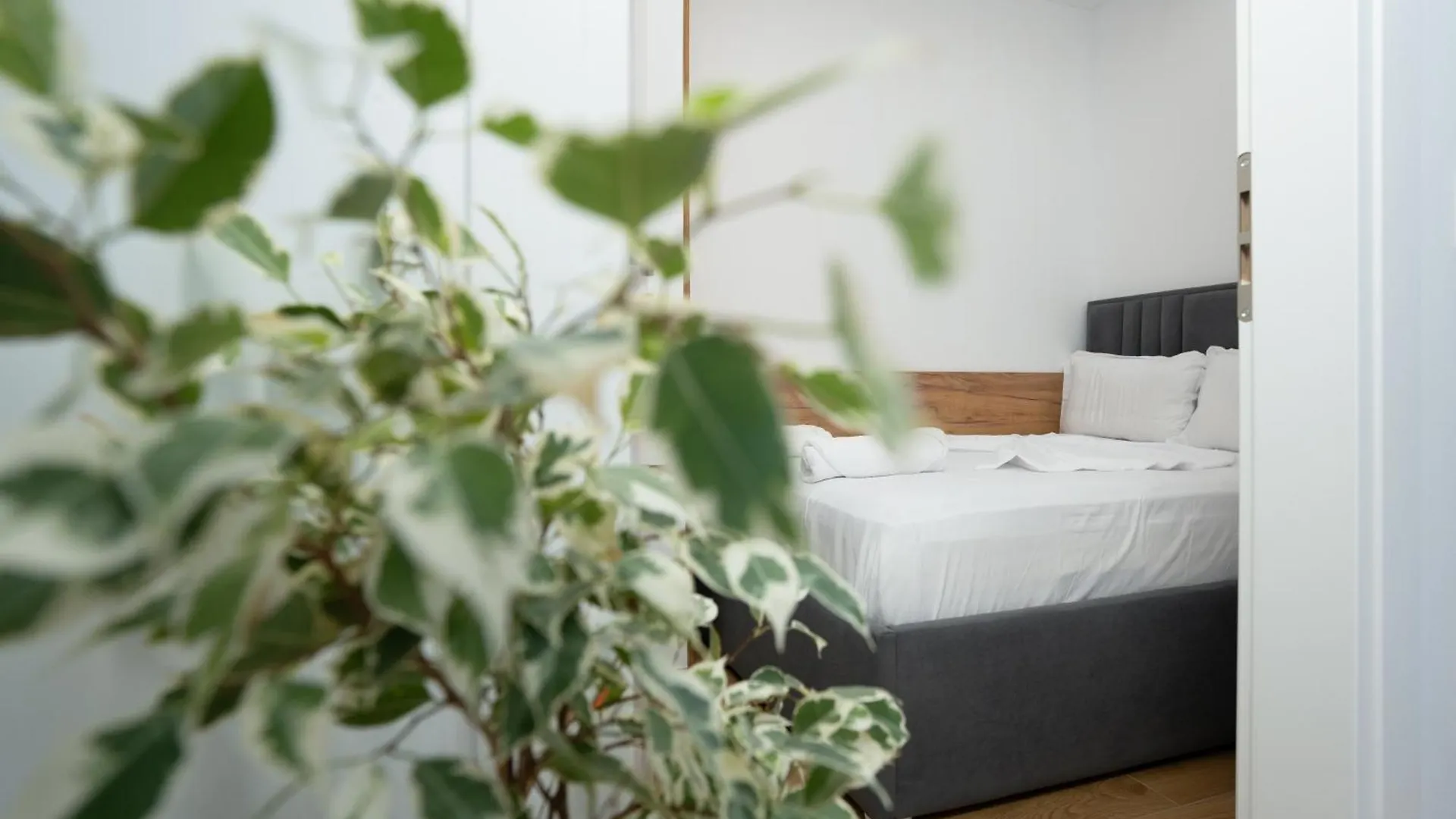 The Blue Pearl Apartment Durrës